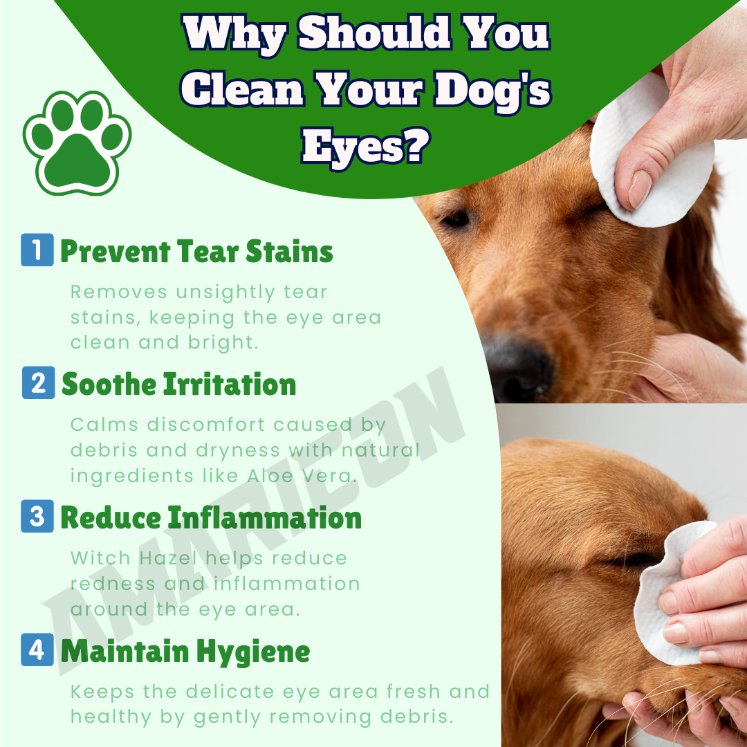 Dog Eye Wipes – Gentle and Natural Eye Care – 100 Wipes
