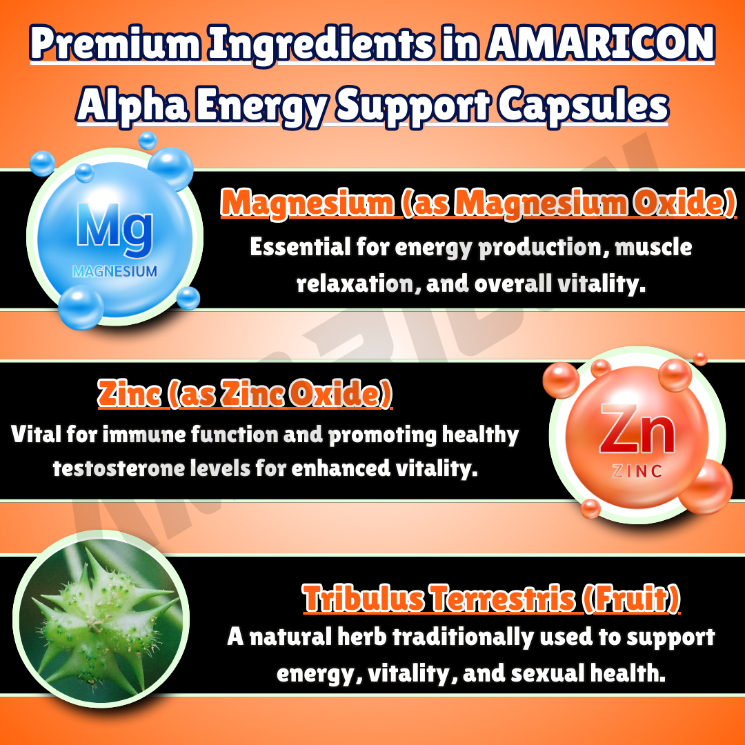 Alpha Energy Support – Men's Vitality and Wellness – 90 Capsules