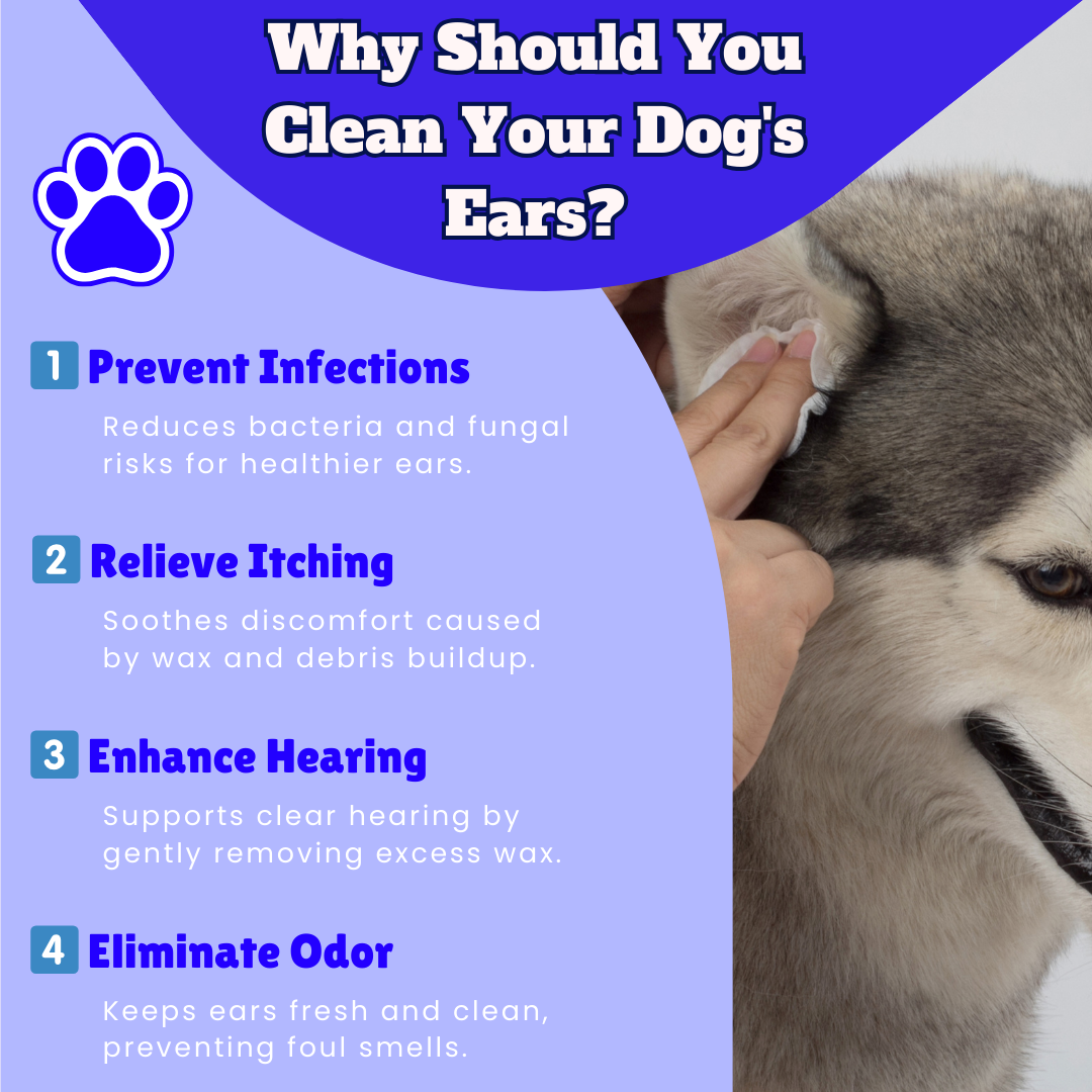 Dog Ear Cleaner Wipes – Gentle and Effective Ear Care – 100 Wipes