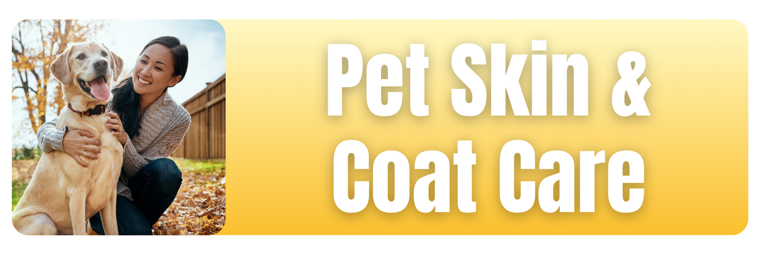Soothe and protect your dog’s skin with AMARICON®. Balms, creams, and waterless shampoo for healthy paws, itch relief, and a clean, shiny coat.