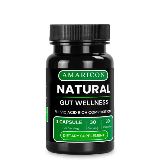 Natural Gut Wellness Capsules – Advanced Digestive Support with Fulvic Acid, Birch Chaga, and Pine Bark Extract