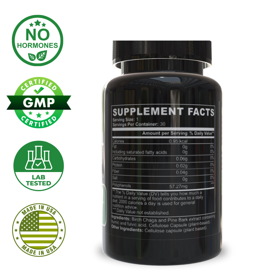 Natural Gut Wellness Capsules – Advanced Digestive Support with Fulvic Acid, Birch Chaga, and Pine Bark Extract