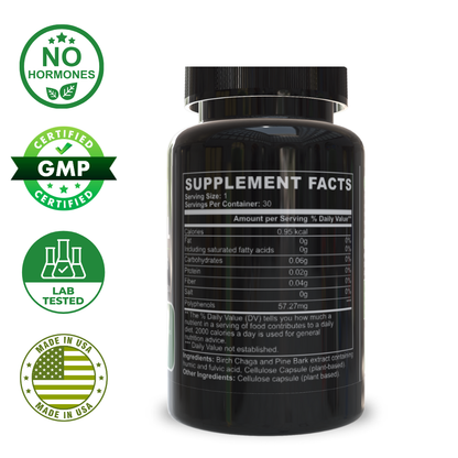 Natural Gut Wellness Capsules – Advanced Digestive Support with Fulvic Acid, Birch Chaga, and Pine Bark Extract